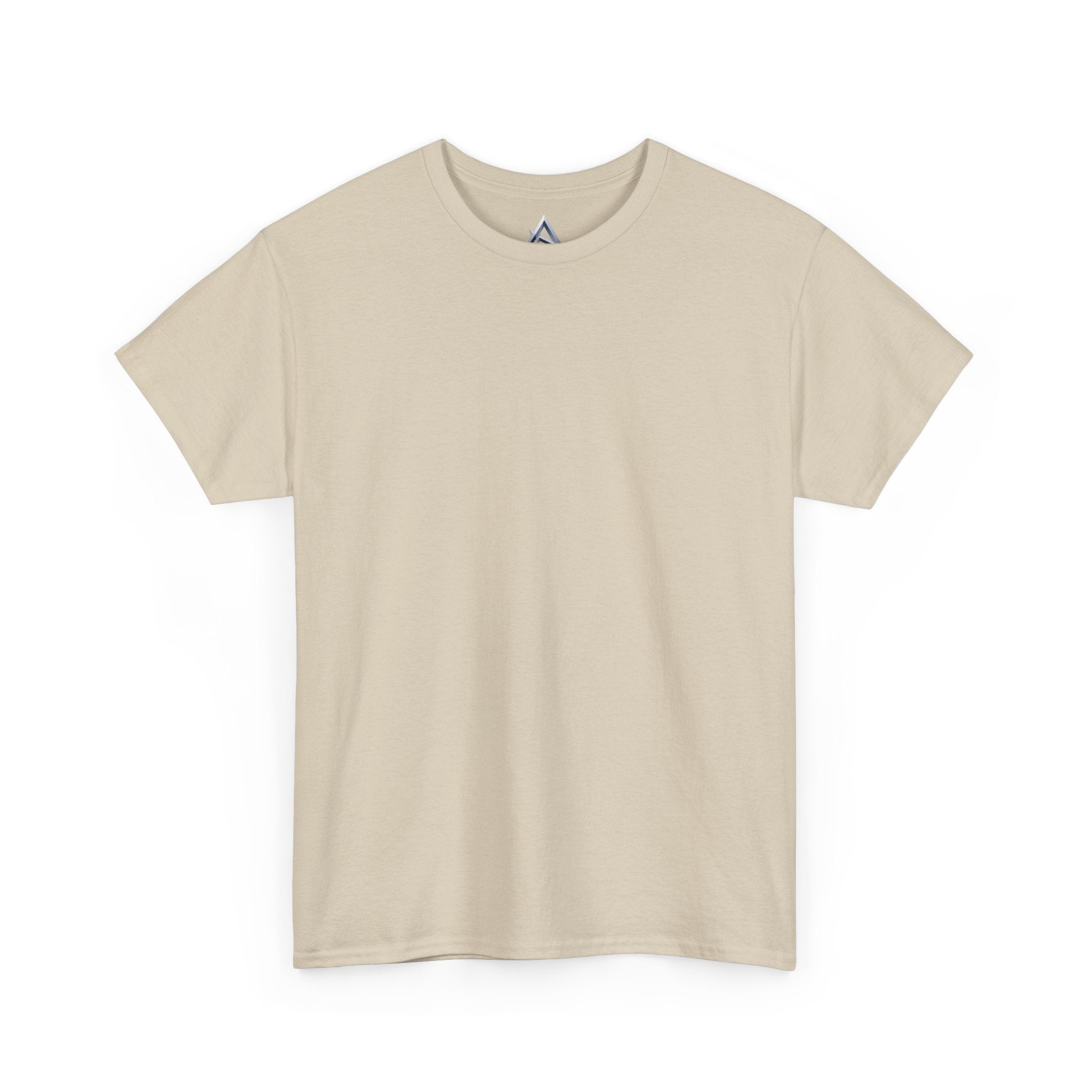 Ambition Angel Unisex Heavy Cotton Tee