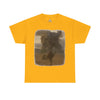 Vintage Illuionic Unisex Heavy Cotton Tee