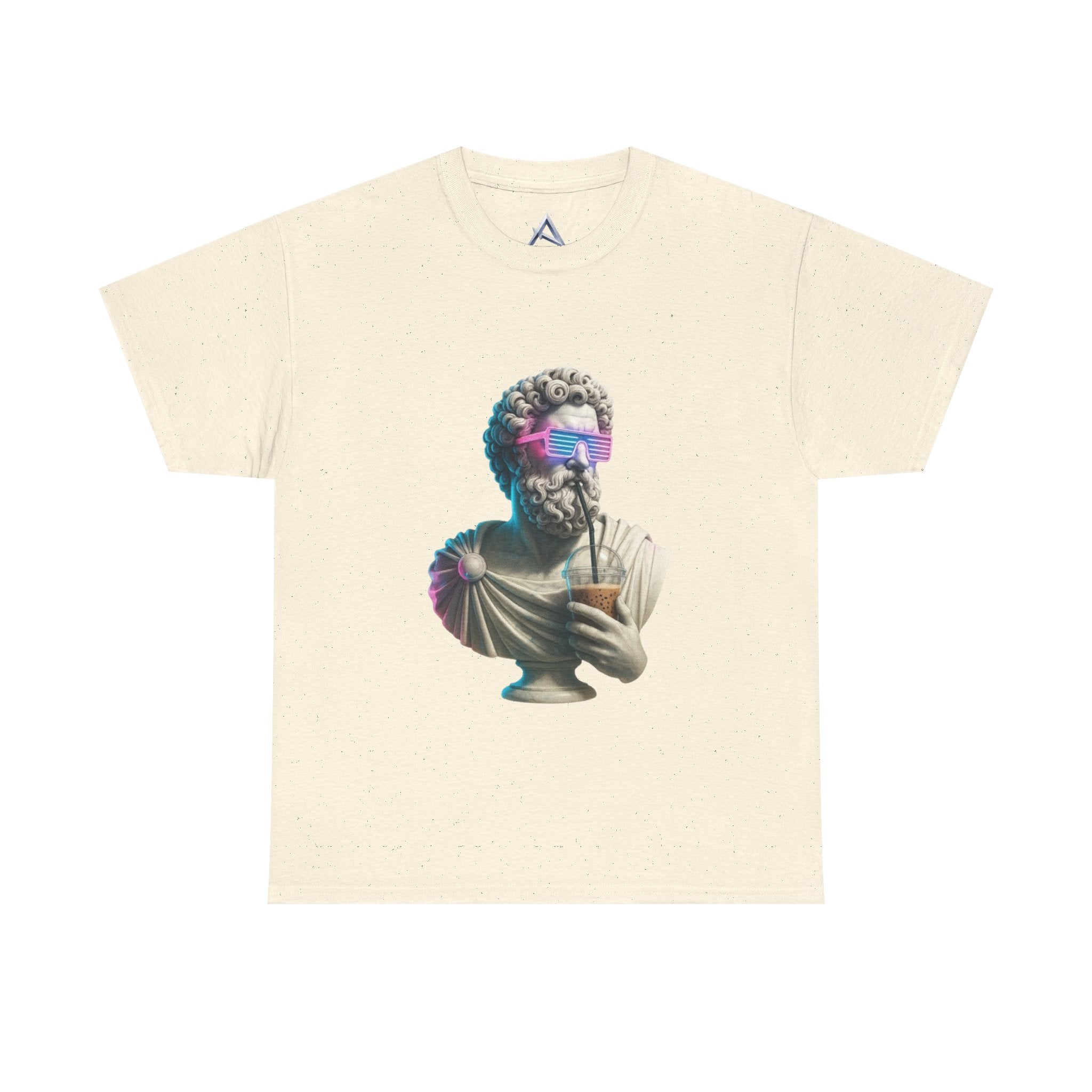 Stylish Philosopher Vintage Unisex Heavy Cotton Tee